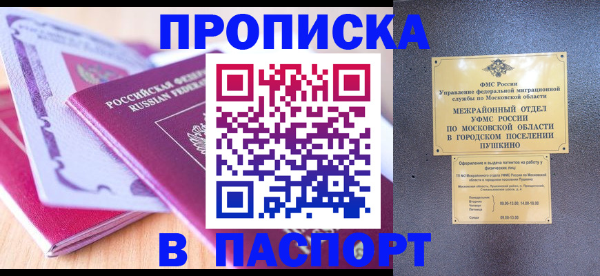 прописка законно в Химках